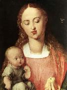 Albrecht Durer Madonna and Child with the Pear oil painting reproduction